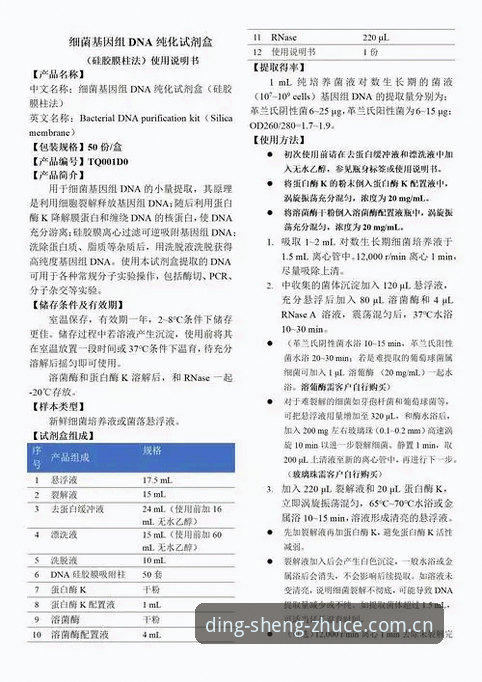 鼎盛官方注册实战经验：最新官网功能详解与高效使用心得